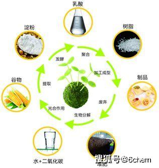 綠色轉(zhuǎn)型風(fēng)起 2025年聚乳酸百萬(wàn)噸產(chǎn)能謀劃全面替代傳統(tǒng)塑料
