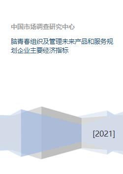 腦青春 企業(yè)管理服務(wù)與未來(lái)產(chǎn)品規(guī)劃的核心經(jīng)濟(jì)指標(biāo)解析