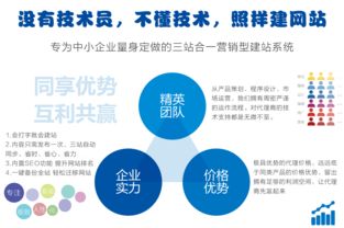 選擇友點(diǎn)CMS建站系統(tǒng) 企業(yè)網(wǎng)站與手機(jī)網(wǎng)站建設(shè)的智慧之選